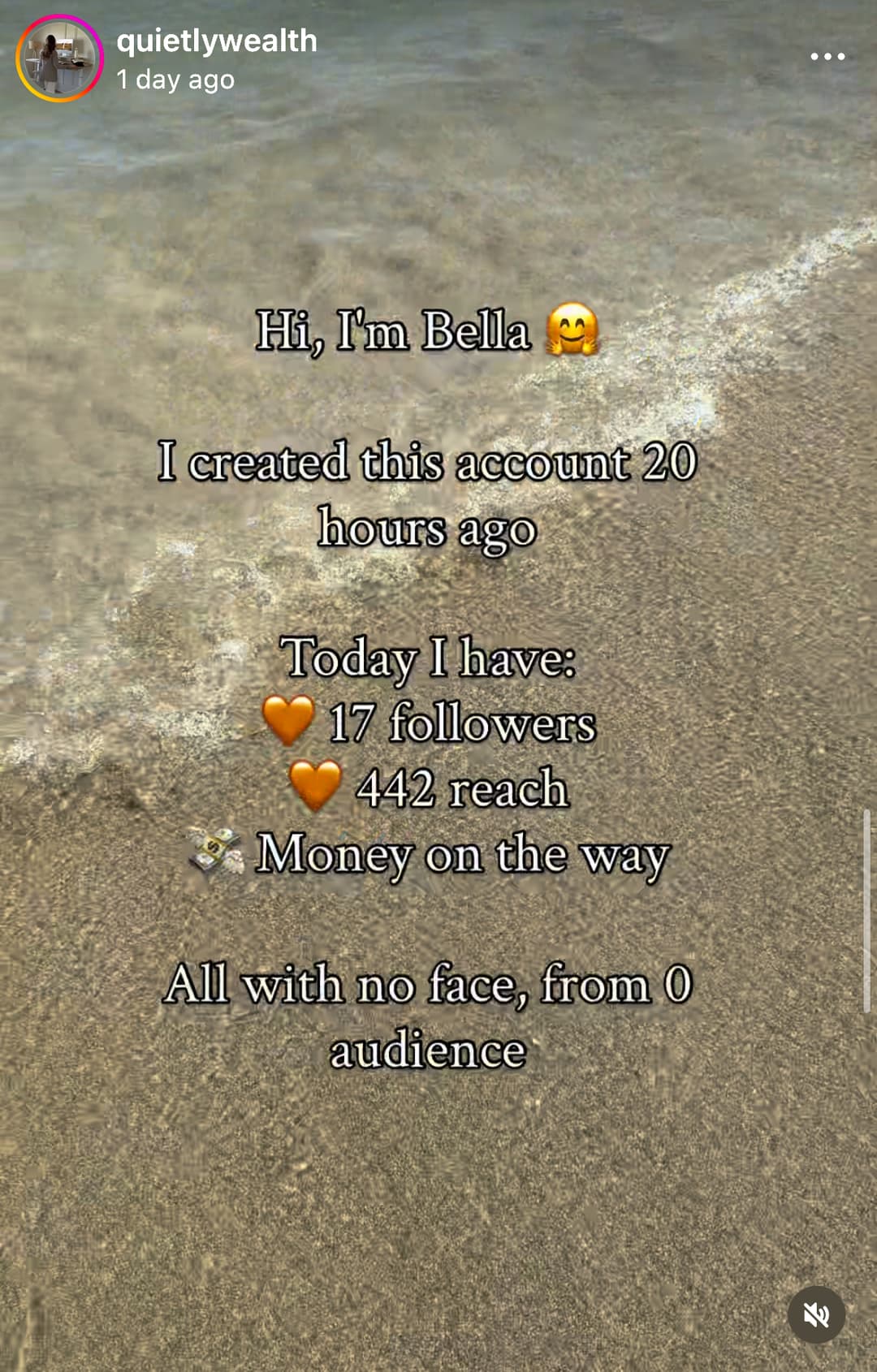 QuietlyWealth Instagram image